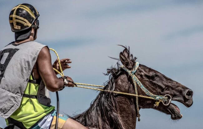 One Last Smoke | Tolaga Bay Charity Horse Races at Kaiaua Beach | Iris Photography Awards 2014 | Portrait Creative | Silver