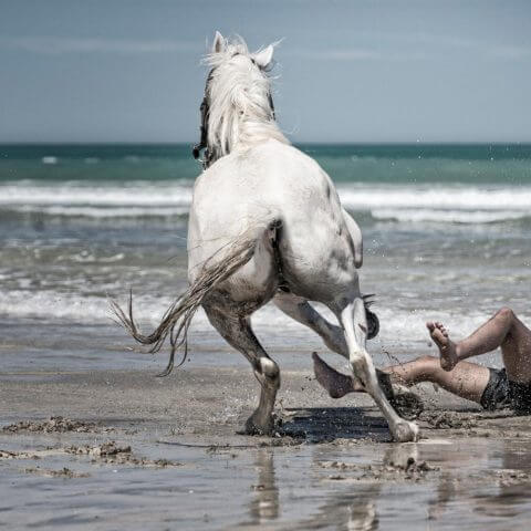 Tolaga Bay Beach Races | Action & Documentary Photo Awards