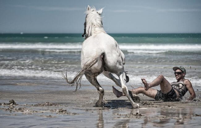 Tolaga Bay Beach Races | Action & Documentary Photo Awards