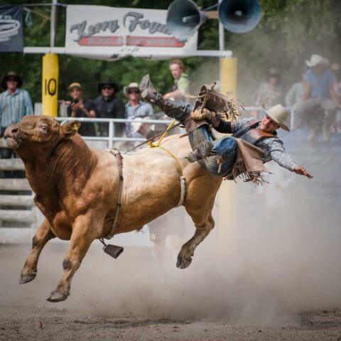 Rodeo | Gisborne NZ | Iris Awards 2014 | Documentary Category | Silver Distinction