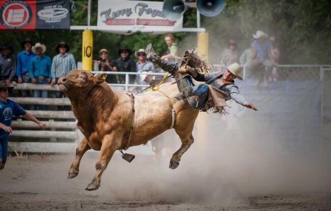 Rodeo | Gisborne NZ | Iris Awards 2014 | Documentary Category | Silver Distinction